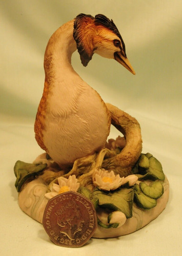 Teviotdale birds great - teviotdale, birds-great