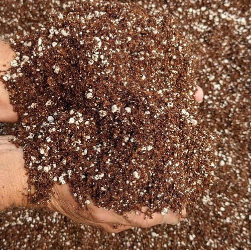 Ready use coco - fibre, coir