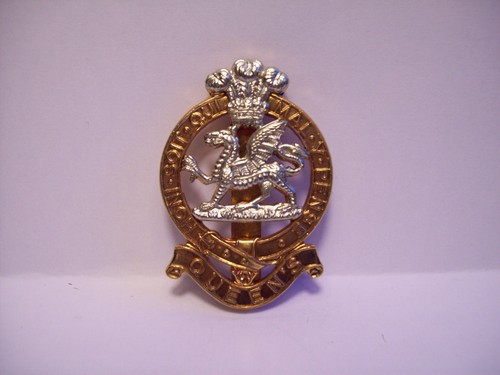 Modern replica army cap - replica, badge