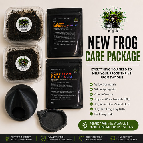 Frogfather new frog - frogfather, care