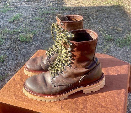 Irish setter 899 - irish,
