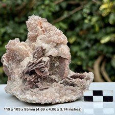 Desert Rose Selenite with