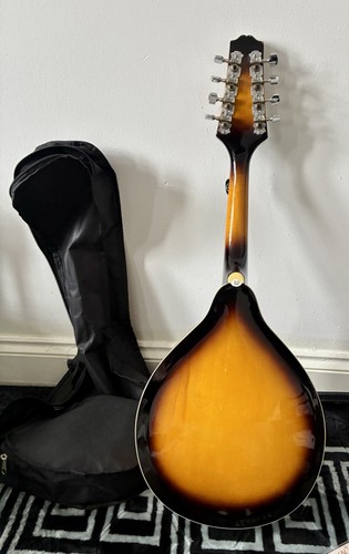 Savannah mandolin model - mandolin,