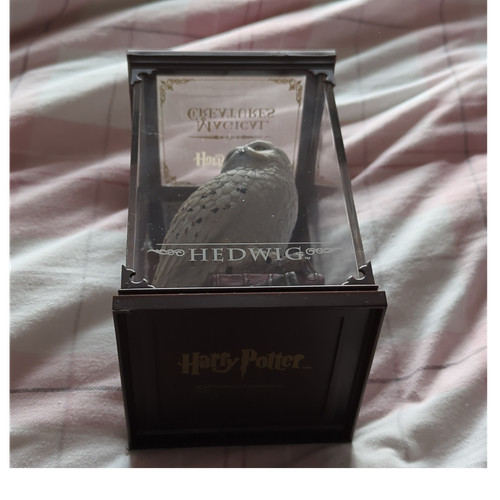 Harry potter hedwig - harry,