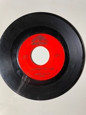 Bobby Fuller Four I FOUGHT THE