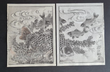 Pair of antique (c. 1908) Japanese woodblock prints - Koi carp fish- Kacho Gafu