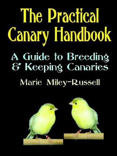 The practical canary - practical,