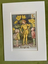 Kingcup flower fairy - ‘kingcup’,