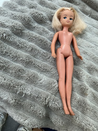 Pedigree sindy doll 1970s - sindy,
