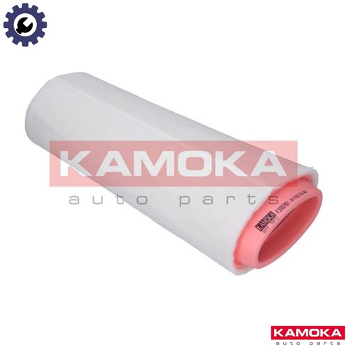 Air filter f205701 - air, for