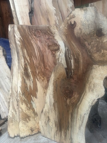 Spalted beech slabs 3ft - , wide