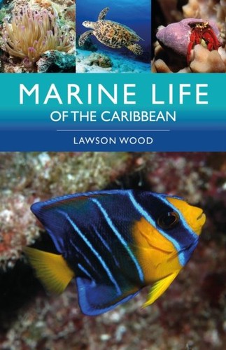 Marine life the - the, caribbean