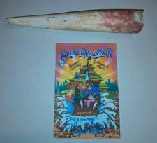 DISNEY WORLD SPLASH MOUNTAIN