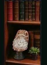  Conch  Shell Italian Cameo