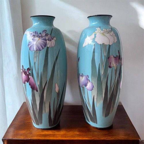 Japanese meiji cloisonne pair - meiji,