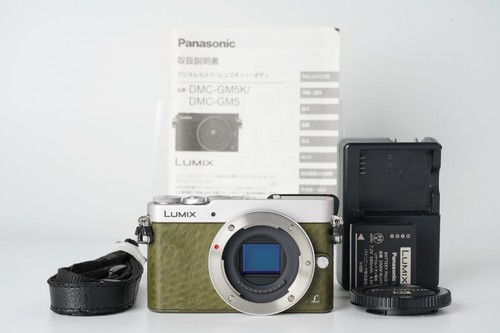 Near mint panasonic lumix - mint],