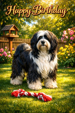Tibetan terrier birthday card - tibetan,