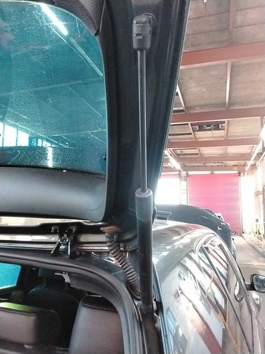 Boot tailgate support strut - boot,