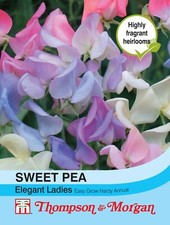 Thompson & Morgan - Flowers -