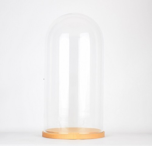 Large glass dome cover cloche - large,