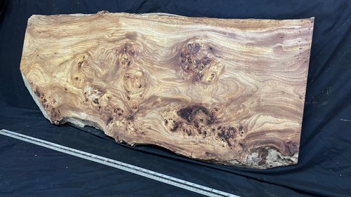 Burr elm rustic - , top