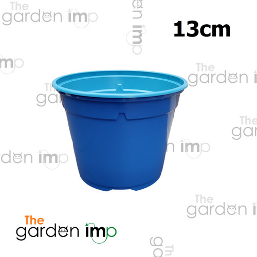 Coloured plastic plant pots - plastic,