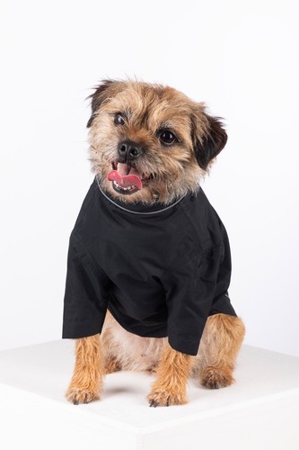 Rydale dog raincoat - dog, dogs