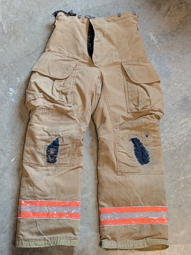 Lion janesville firefighter - lion,