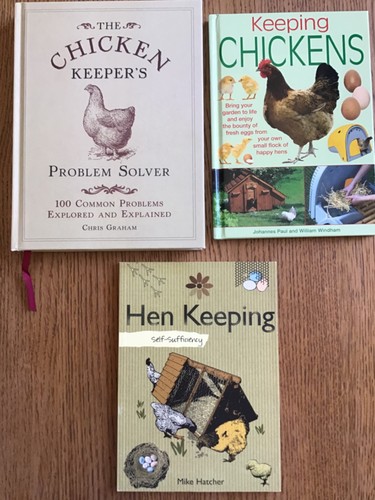 Bundle chicken hens - bundle,