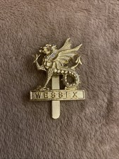 British Army Cap Badge - Wessex Regiment - Anodised