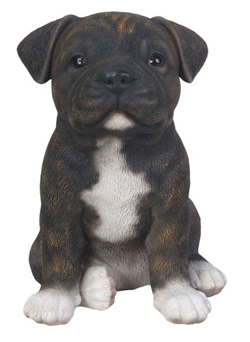 Staffy bull terrier brindle - bull,
