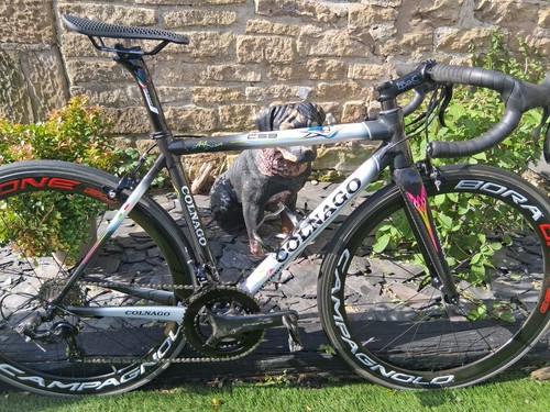 Colnago c59 art decor carbon - colnago,