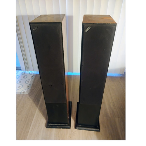 Acoustic energy ae120 - ae120, floor