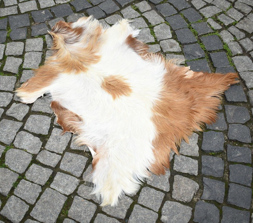 Angora goat leather - leather,