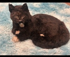 NAUTICALIA SHIPS CAT TRIM