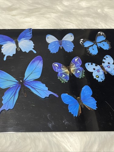 Butterfly wall art decal - 3d,