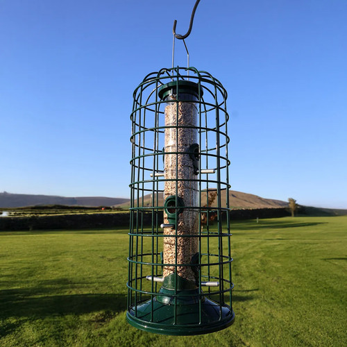 Premium squirrel proof - squirrel,