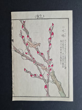 Antique 1890 Japanese woodblock print - Japanese Willow - Kono Bairei