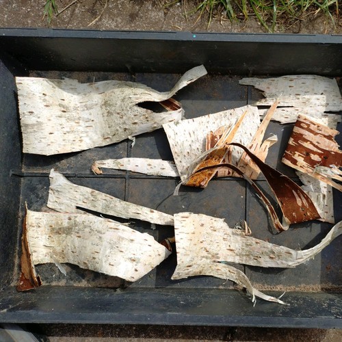 Silver birch bark crafts
