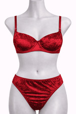 Ladies Velvet Effect Bra &