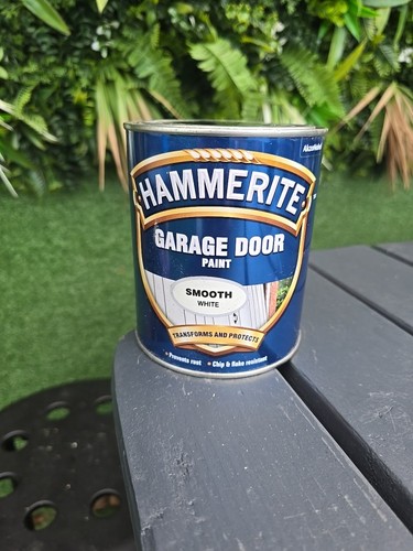 Hammerite garage door - garage, paint