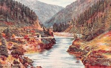 Tuck's Oilette Artist Drawing
