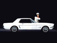 1964 Ford Mustang Coupe 11 x