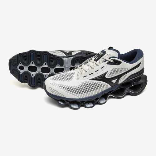 Mizuno wave prophecy - wave,