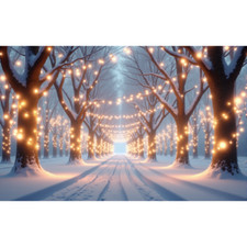 Winter Scene Background