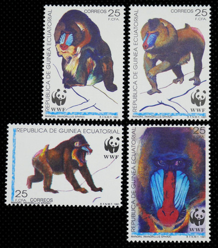 Wwf wildlife mandrill - ~, ~