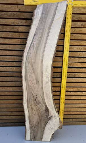 Live edge walnut - edge, slab