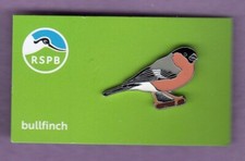 RSPB Pin Badge - Bullfinch - NIIC Green Card