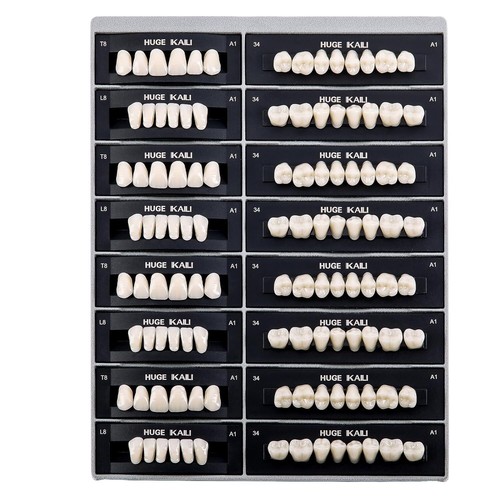 Dental acrylic resin denture - dental,