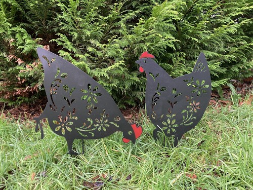 Set metal chicken hen - of,